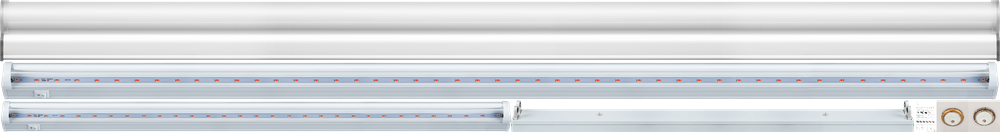 «». Lightstar серия TL4049 артикул 431103