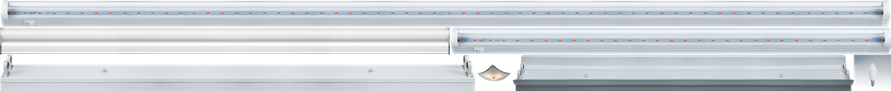 «». Lightstar серия TL4065—1 артикул 432043